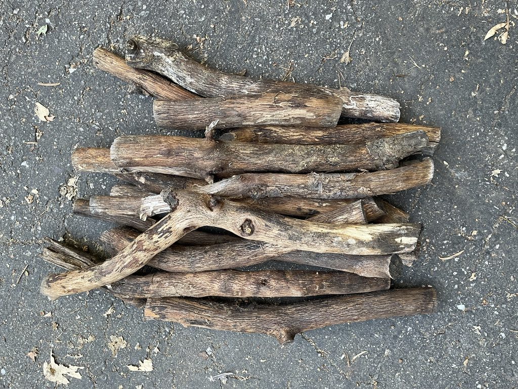 A bundle of weathered branches