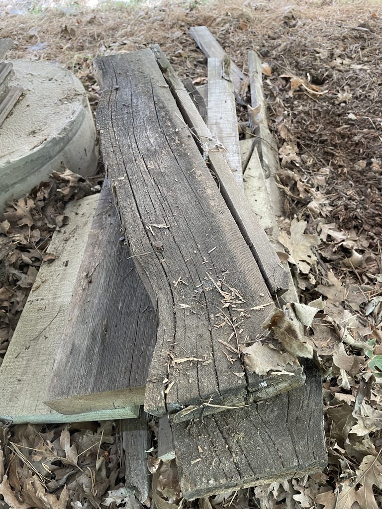 A split weathered beam resting in leaves