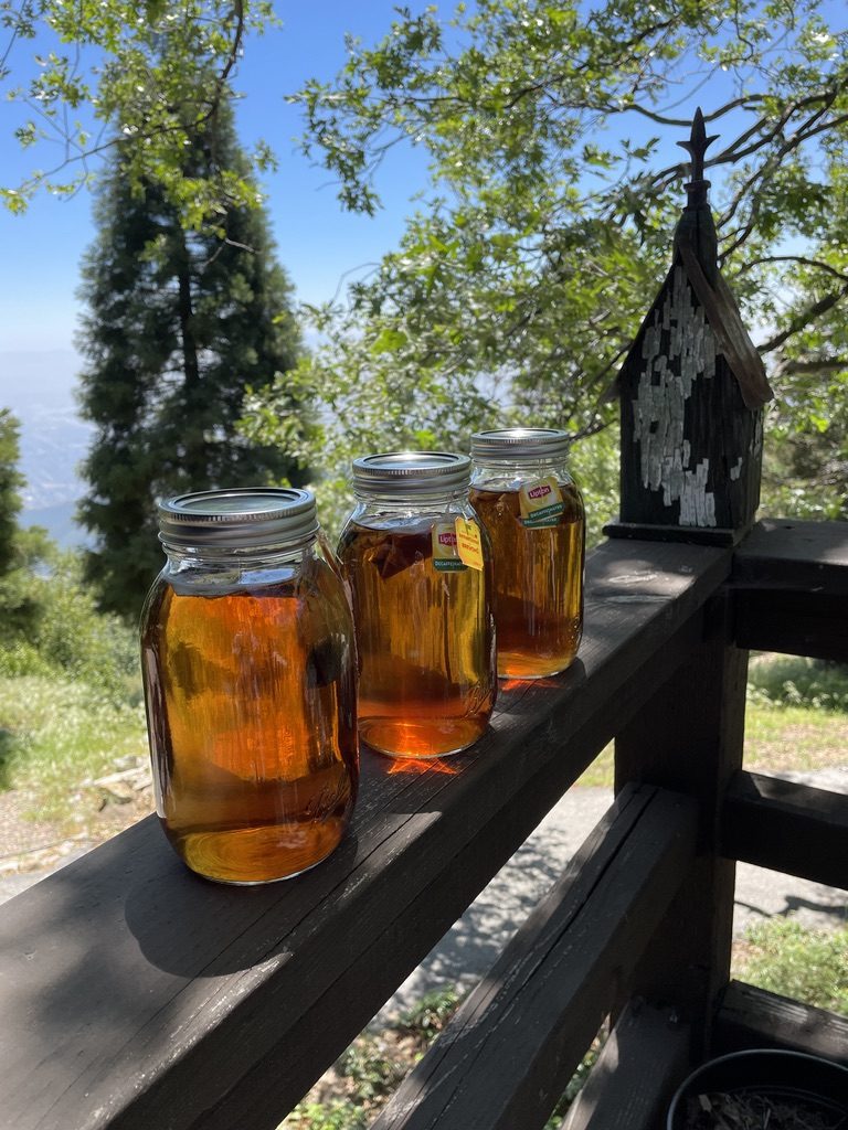 Jars of sun tea above a hazy valley view