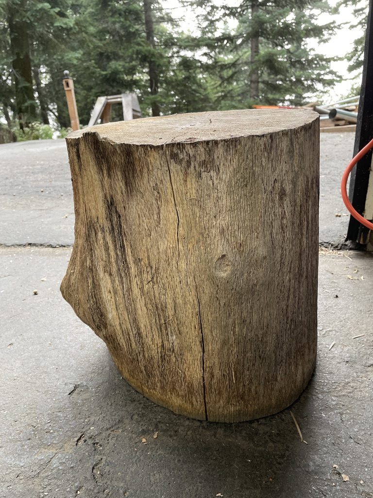 Natural stump seat